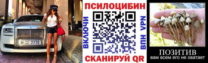 Галлюциногенные грибы MAGIC MUSHROOMS  Купить  Новоузенск 
