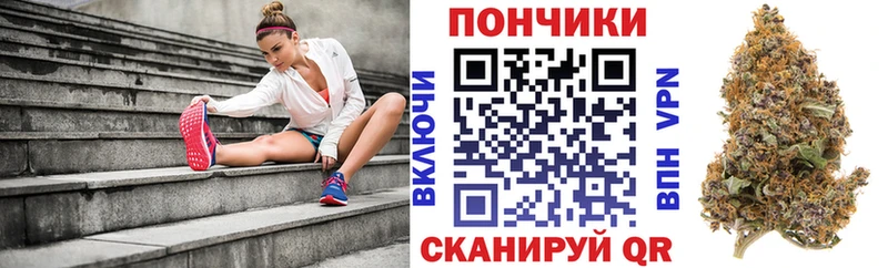 Купить  Новоузенск  Бошки Шишки ГИДРОПОН 